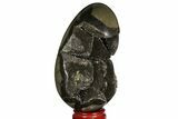 Bargain, Septarian Dragon Egg Geode - Black Crystals #172807-2